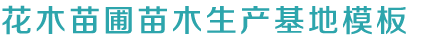 凯时kb88集团网址